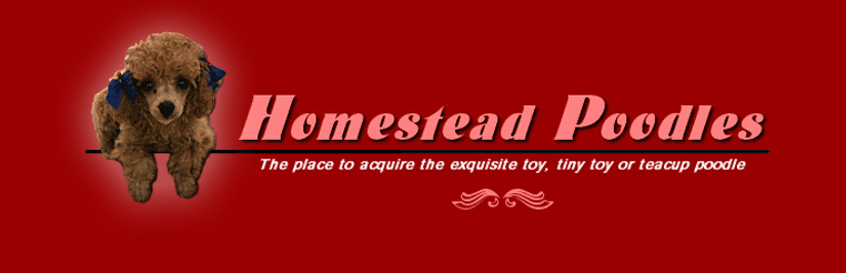 homestead poodles logo